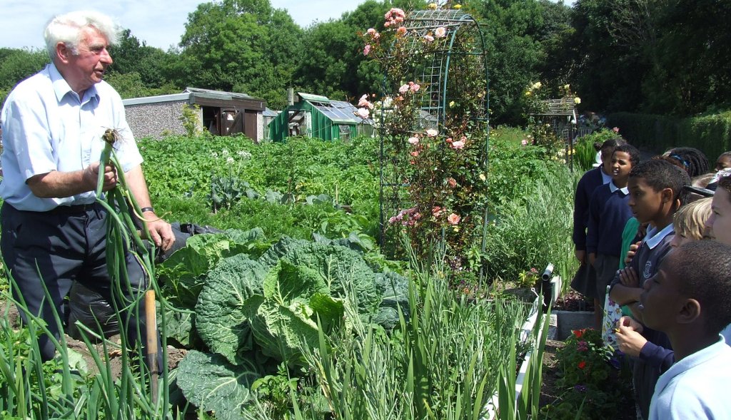 Forgotten Fields session at a local allotment.