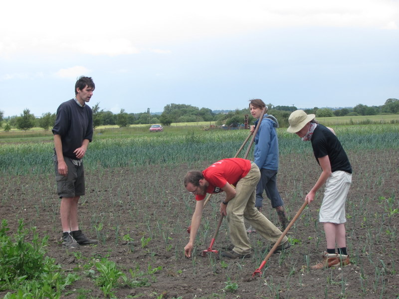 Land Army Volunteers at Moss Brook Growers