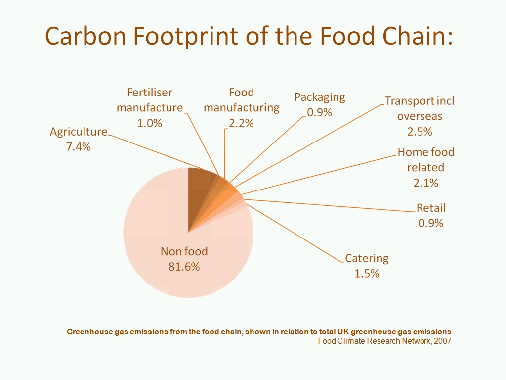 A slide from the Powerpoint presentation.