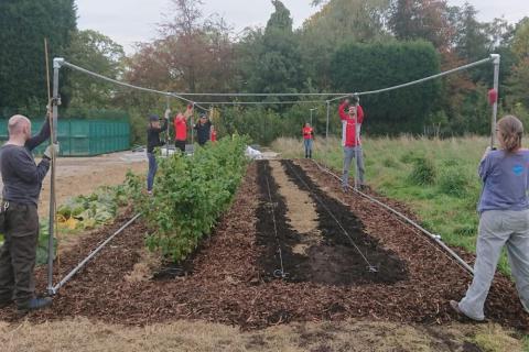 Team Challenge day putting up a fruit cage
